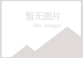 鹤岗南山迷失媒体有限公司